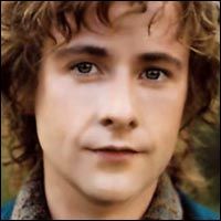 Their lookalike: como Pippin en El Señor de los Anillos